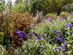 gardenmuseum (5).jpg